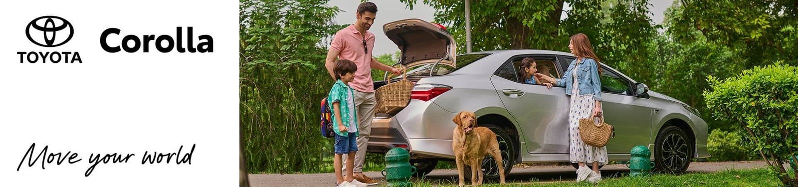corolla-cover